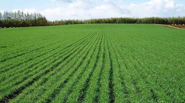 d7443198c6f840289af4bdd85eaf15a4.jpg d7443198c6f840289af4bdd85eaf15a4.jpg